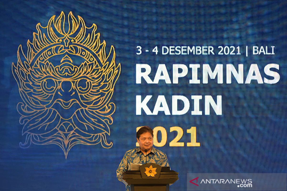 Airlangga dorong Kadin manfaatkan momentum Presidensi G20