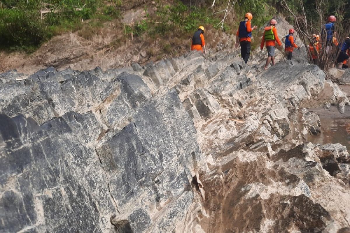 Fosil flora di aliran Sungai Batang Merangin