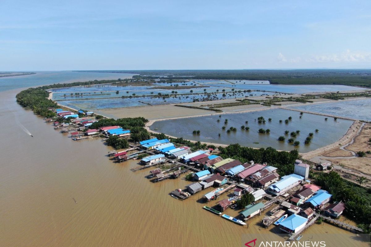 PII konservasi mangrove berbasis ekonomi masyarakat  di Berau