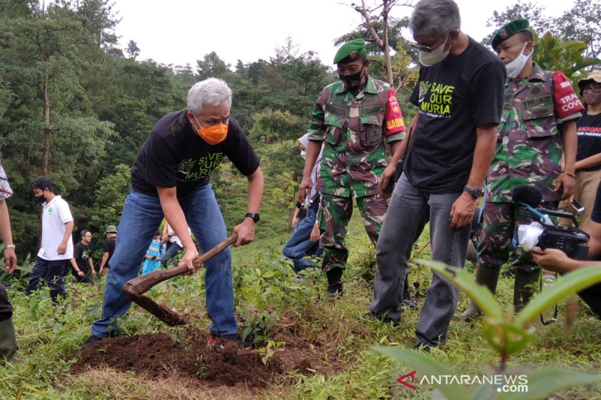 8.000 bibit pohon ditaman di kawasan hutan kritis di Jepara