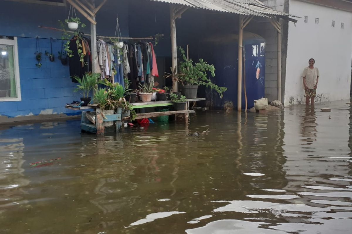 Banjir rob  rendam permukiman warga di pesisir Tangerang