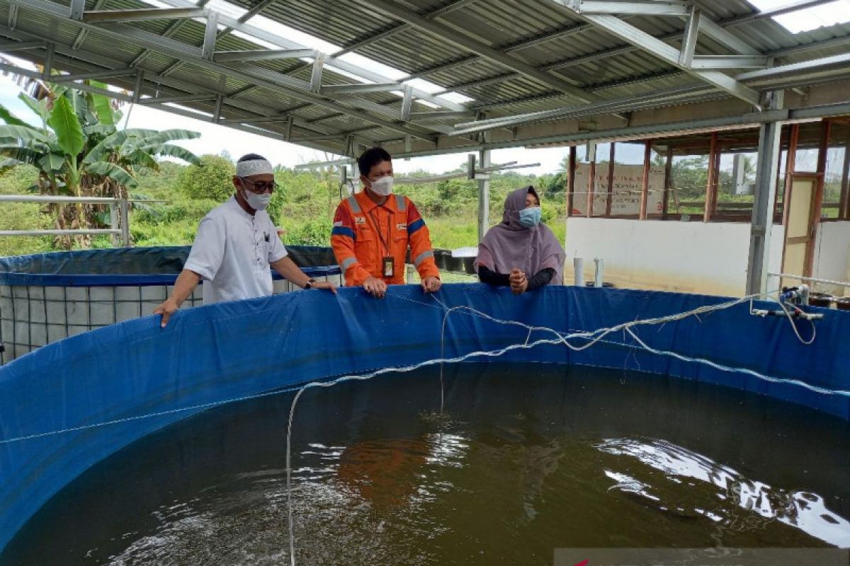 Budidaya lalat hitam PHKT bantu siapkan ibu kota baru ramah lingkungan