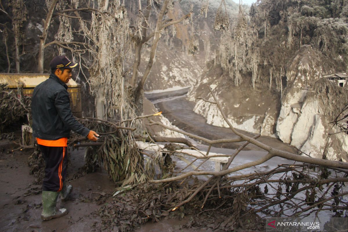 Mt Semeru eruption: BNPB evacuates residents, send aid to victims