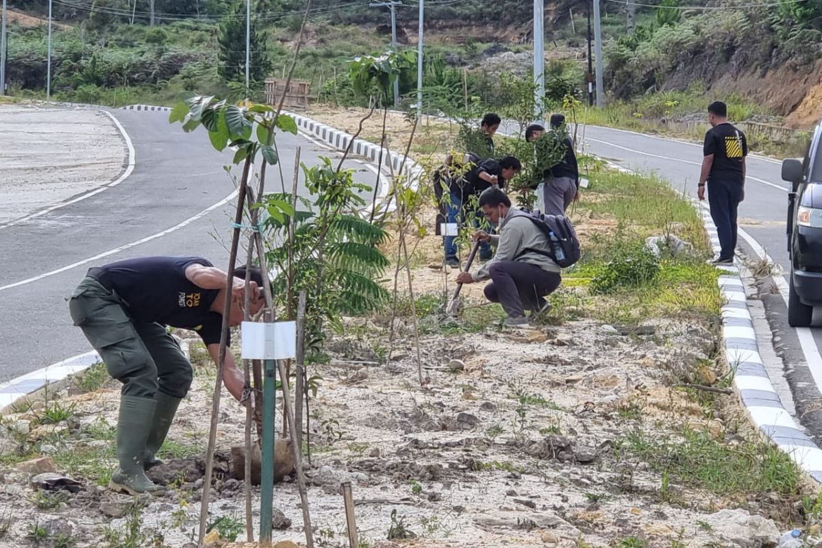 Pemprov Sulsel tanam 5.000 pohon hijaukan Bandara Buntu Kunik Toraja