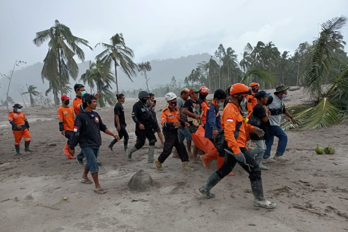 SAR evakuasi enam korban erupsi Gunung Semeru