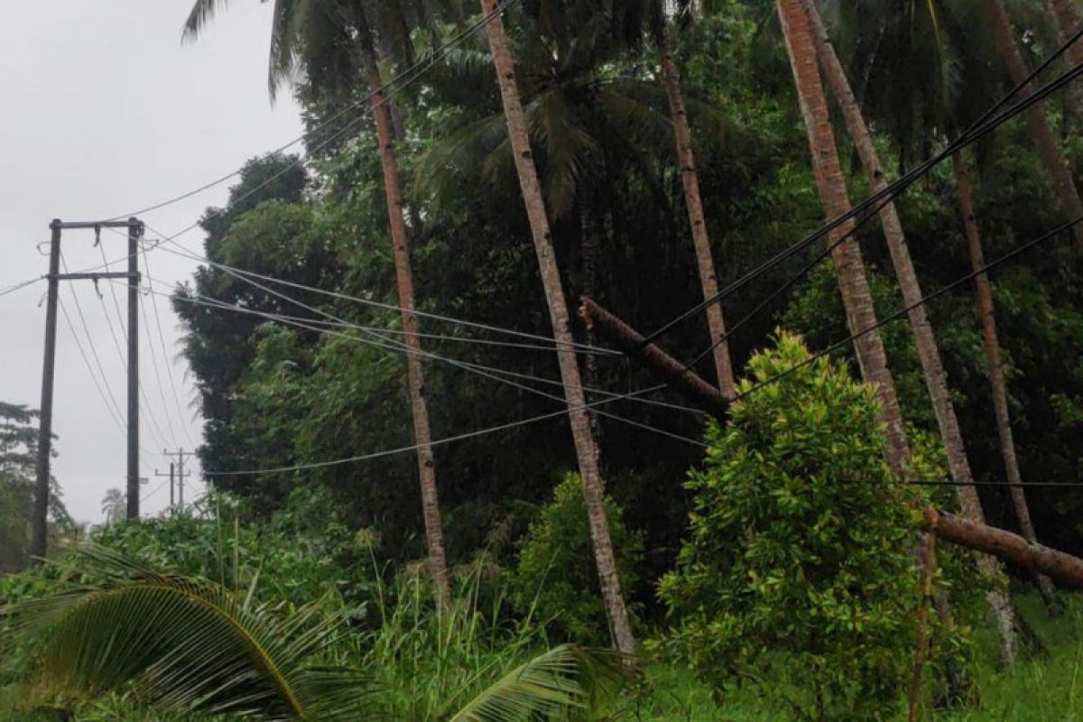 PLN cepat lakukan penormalan jaringan akibat cuaca buruk