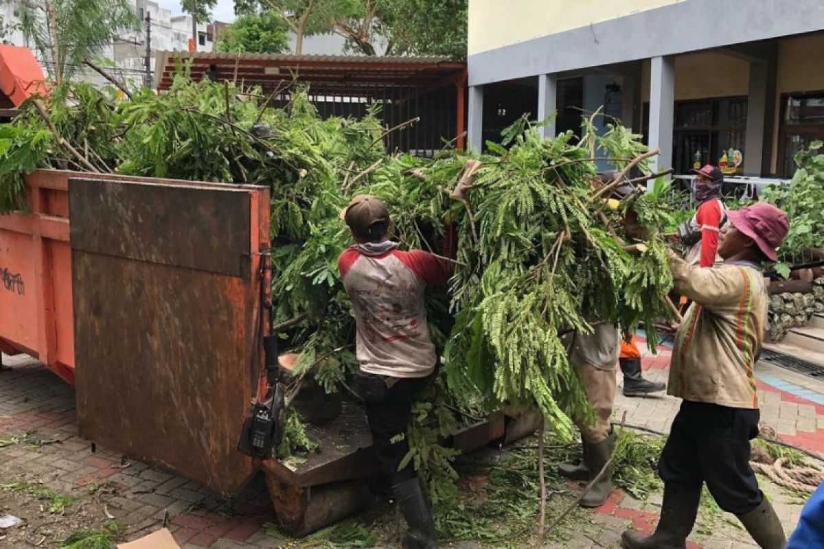 Hasil perantingan pohon di Surabaya diolah jadi bahan bakar listrik