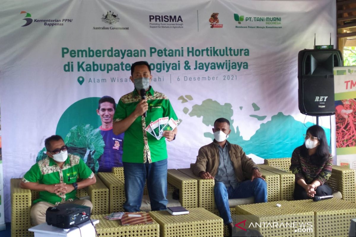 Tani Murni dorong petani di Papua mandiri dengan benih berkualitas