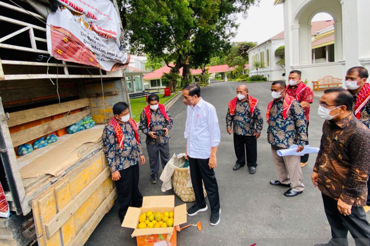 Presiden Jokowi dapat  tiga ton jeruk dari warga Karo