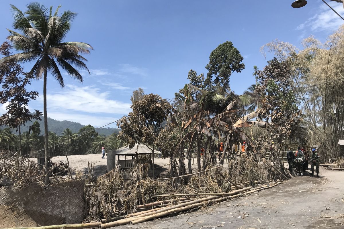 Lokasi Kampung Renteng Lumajang disterilisasi jelang kedatangan Jokowi