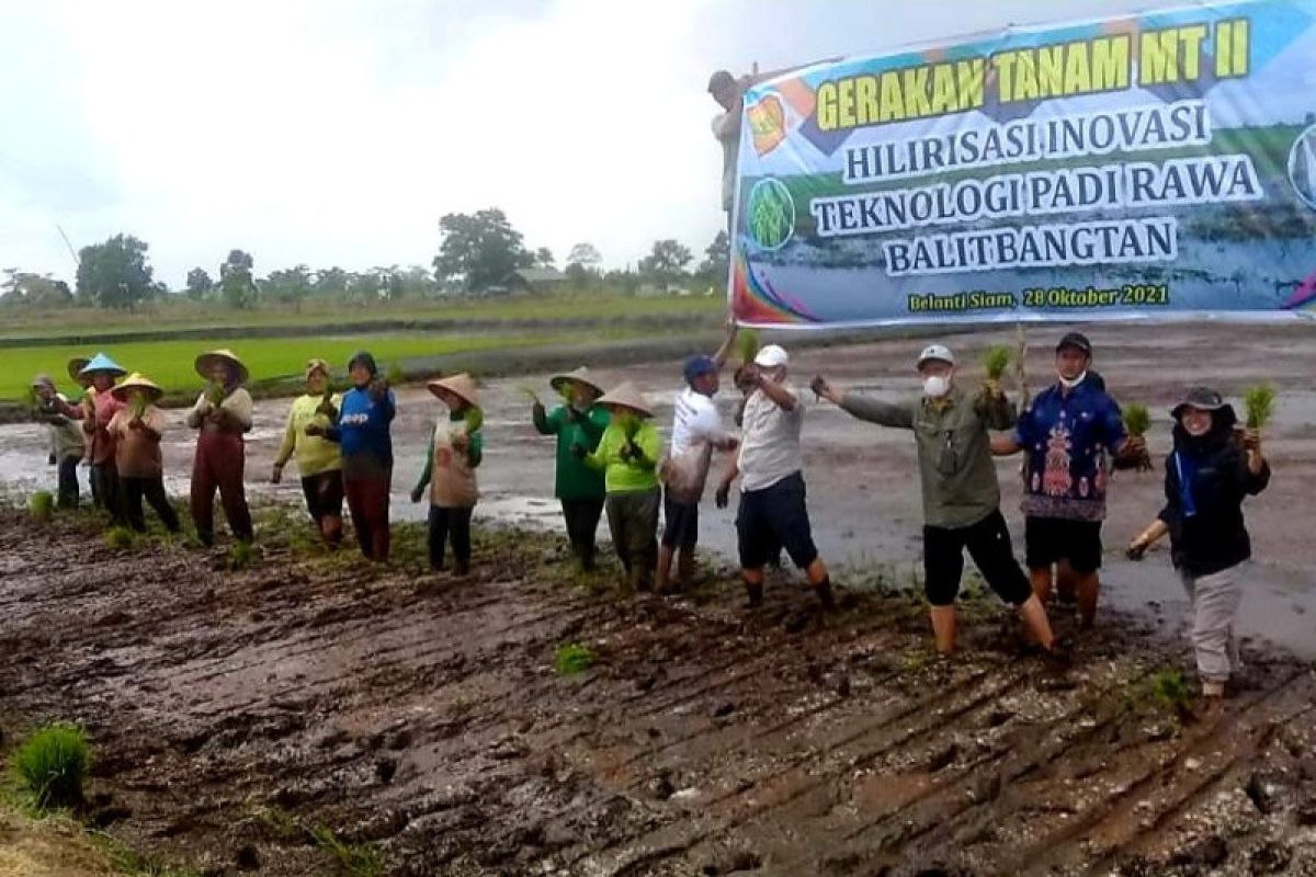 BPTP Kalteng: Food Estate sudah berjalan dengan baik