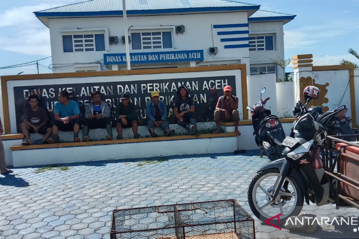 Protes TPI, pedagang ikan Al Mahirah kembali mangkal depan kantor DKP Aceh