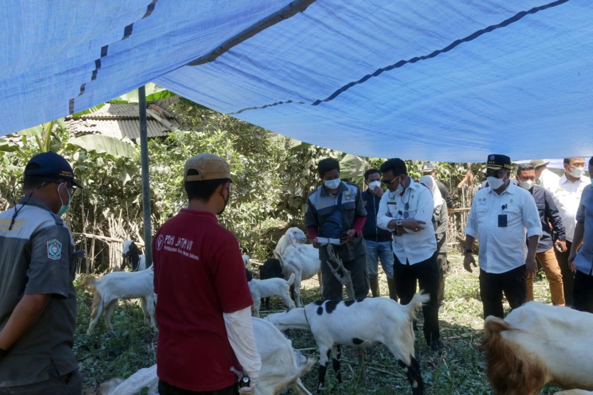 Mentan beri bantuan kepada petani terdampak erupsi Semeru