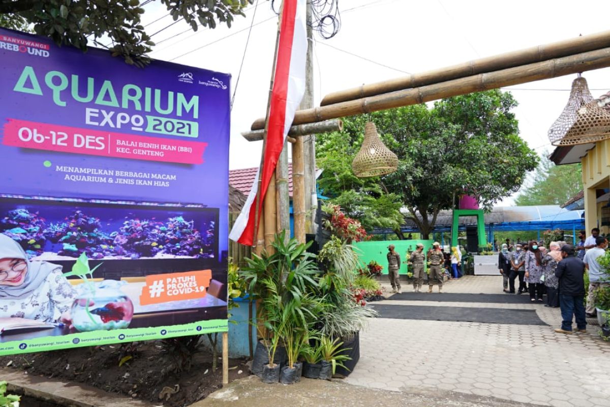 Dorong pertumbuhan ekonomi, Pemkab Banyuwangi gelar pameran akuarium