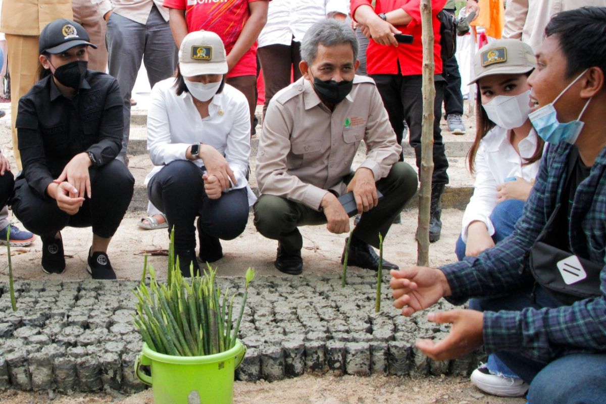 BRGM harapkan hutan mangrove Desa Pasir Mempawah jadi lokasi wisata