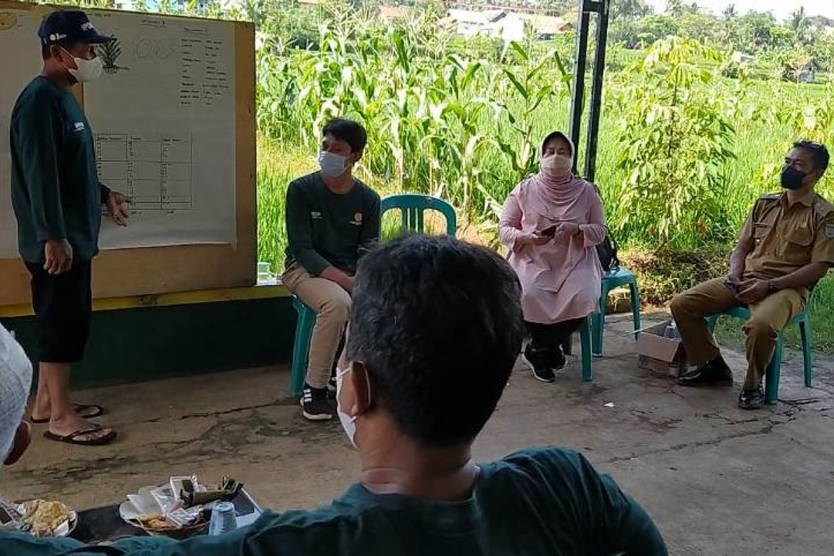 Pembangunan pertanian organik Ciamis meningkat pesat