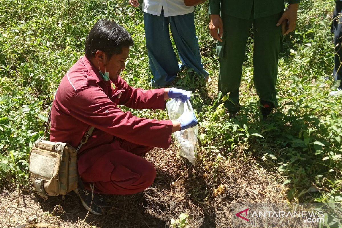 Tim gabungan Sumbar ambil sampel babi mati mendadak di Agam