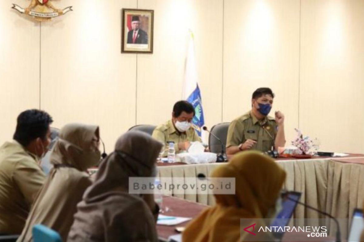 Pemprov Babel Kebut Perbaikan Penyusunan KLHS Food Estate