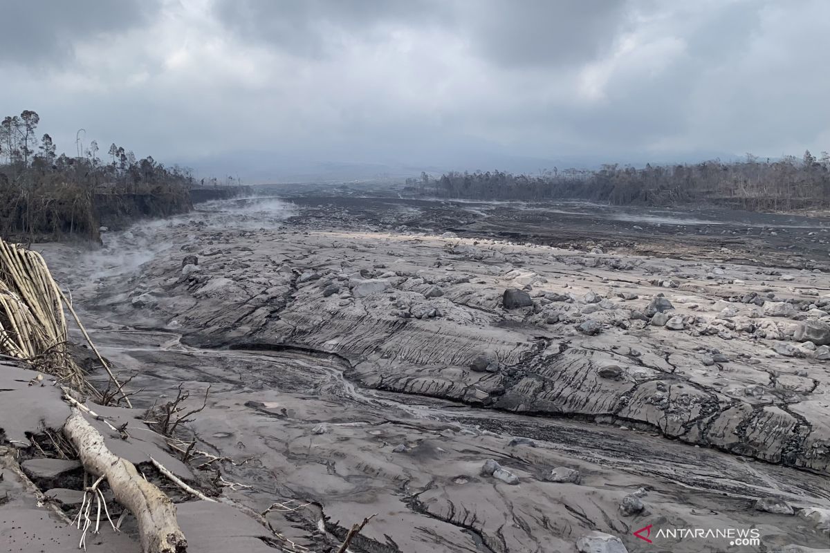 20 hektare lahan di Desa Supiturang rusak akibat abu Semeru