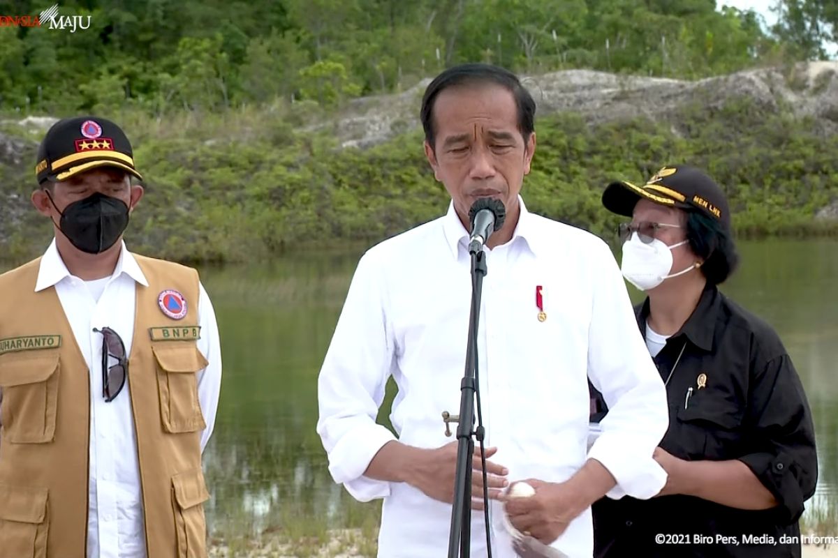 Presiden tanam pohon untuk pemulihan lingkungan di bekas pertambangan