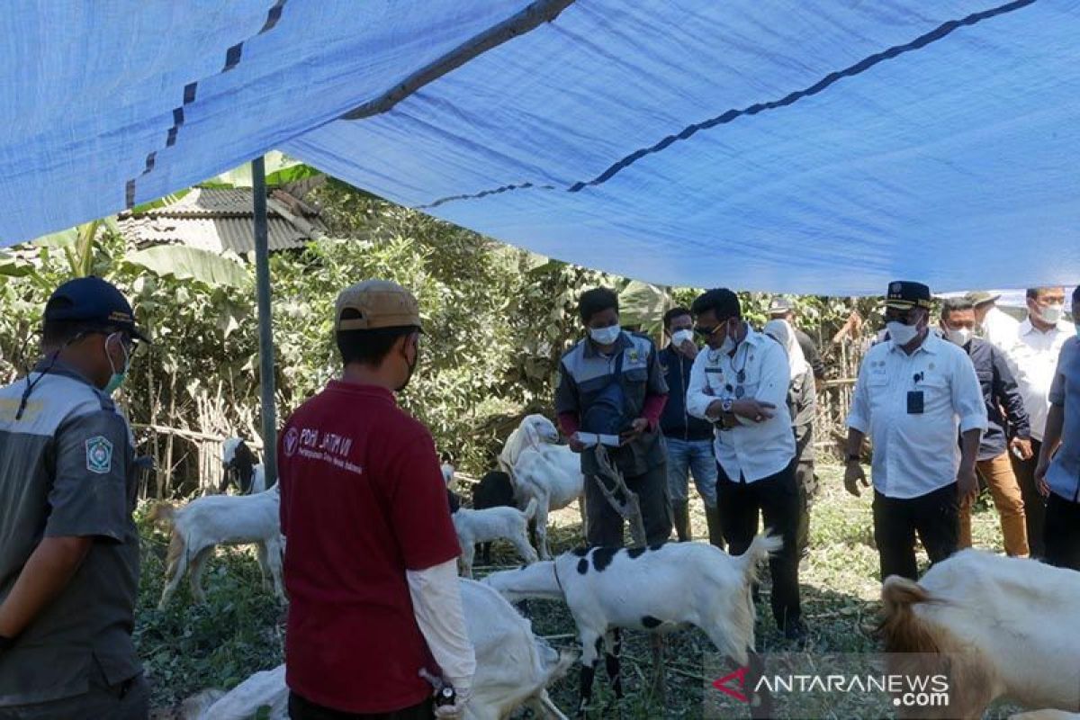 Pemerintah Dharmasraya masak satu ton rendang untuk korban Semeru