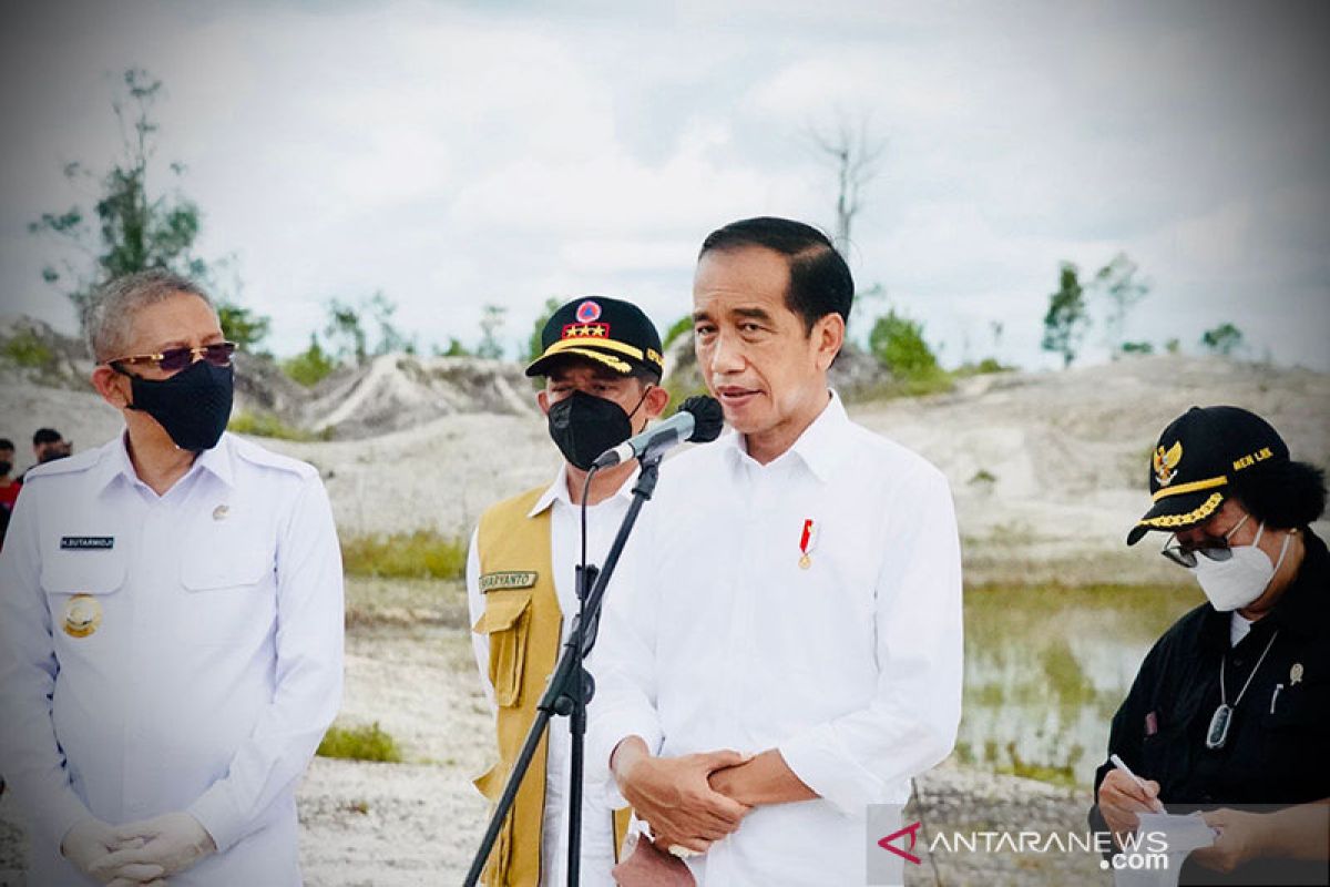 Jokowi tanam pohon di eks pertambangan emas Kalbar