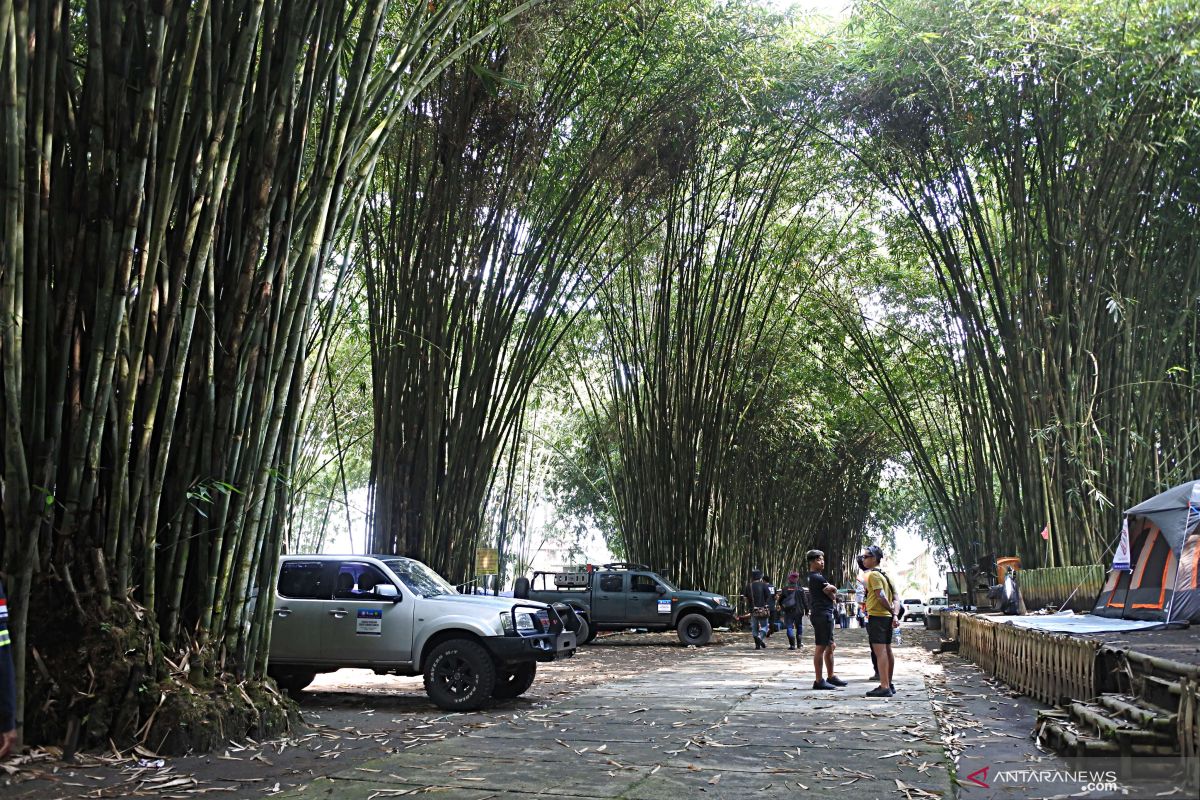 Wisata Hutan Bambu di tengah bencana Semeru