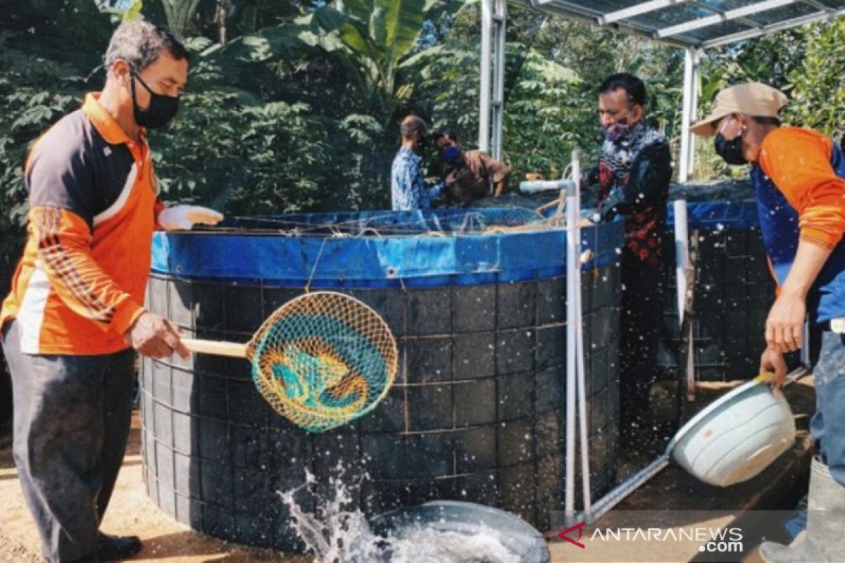 Bioflok alternatif bagi nelayan tangkap