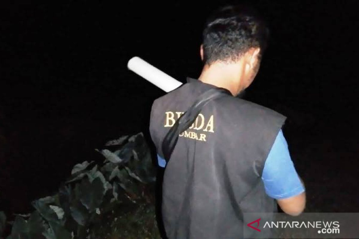 BKSDA Sumbar tingkatkan penghalauan harimau dekati permukiman warga