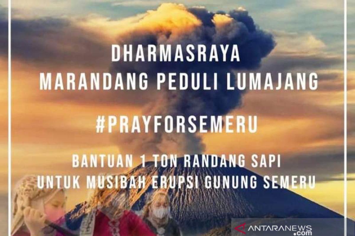 Dharmasraya masak satu ton rendang untuk korban erupsi Gunung Semeru