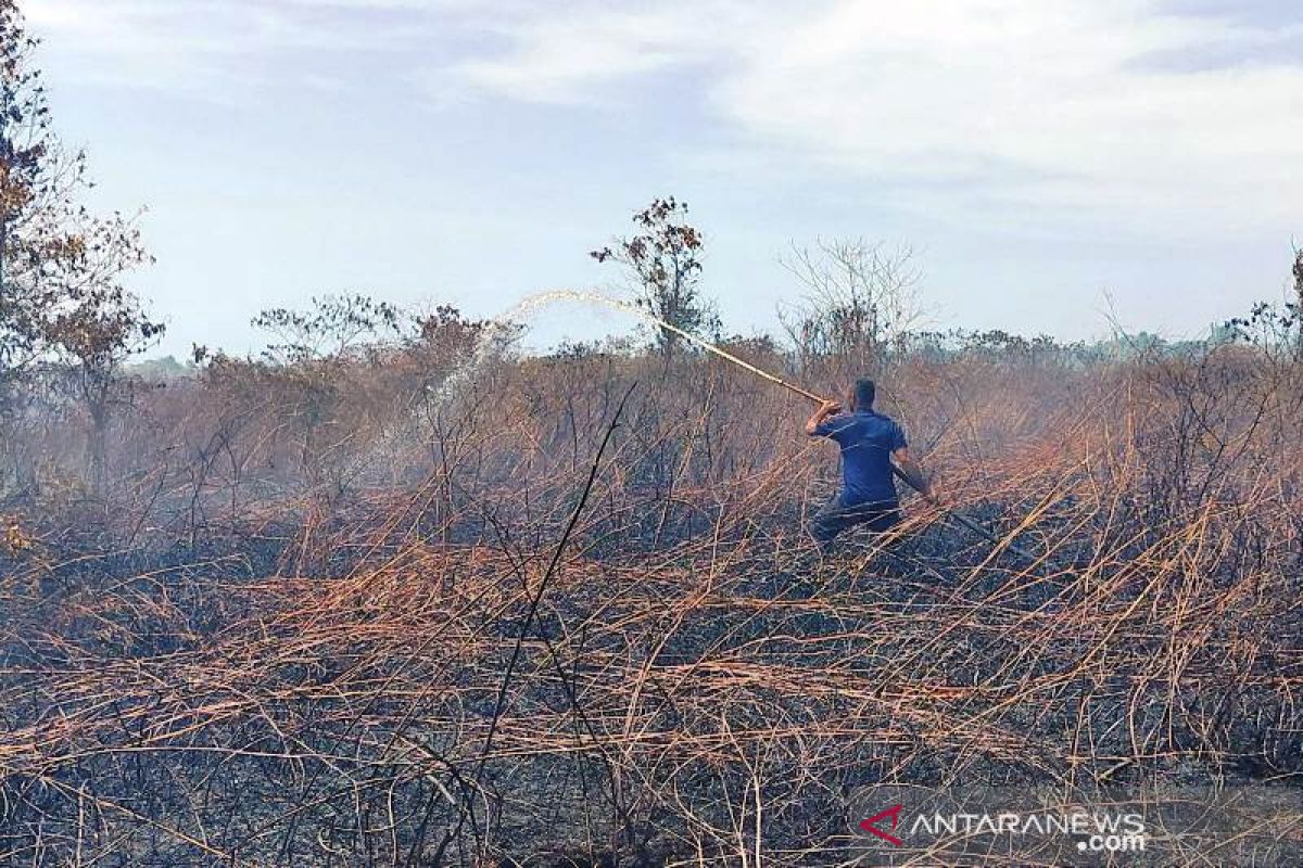 BPBD padamkan kebakaran lahan gambut di Meulaboh