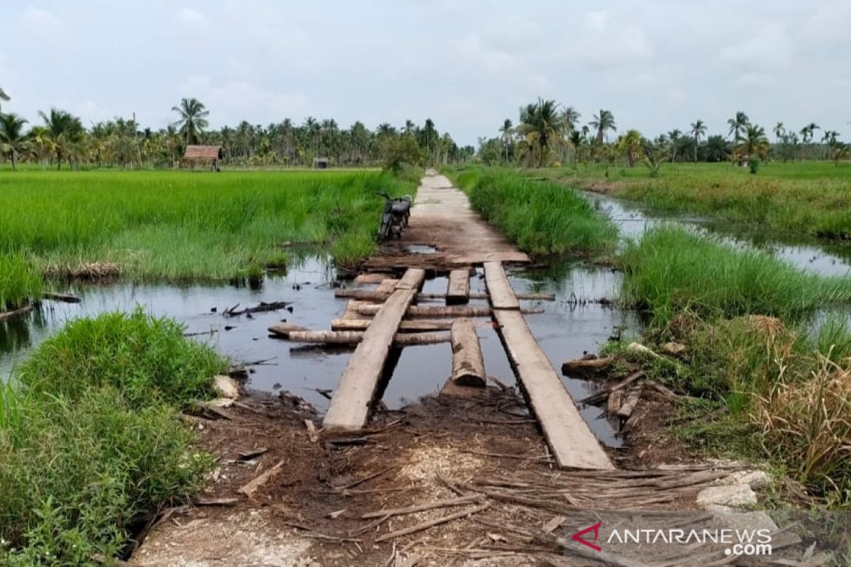 DPRD Riau atensi irigasi jadi kendala program persawahan