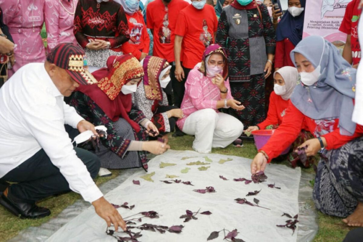 Ketua Dekranasda Provinsi Lampung janji tingkatkan kualitas perajin batik ecoprint di Lampung Selatan