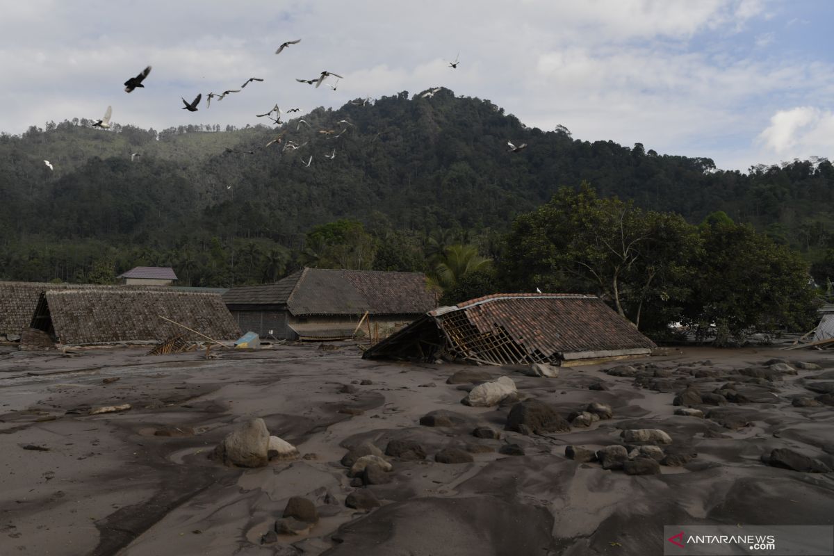 Mount Semeru eruption: Death tolls climbs to 43