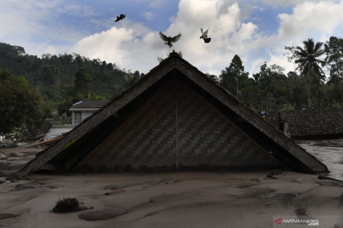 Korban meninggal Gunung Semeru bertambah menjadi 43 orang