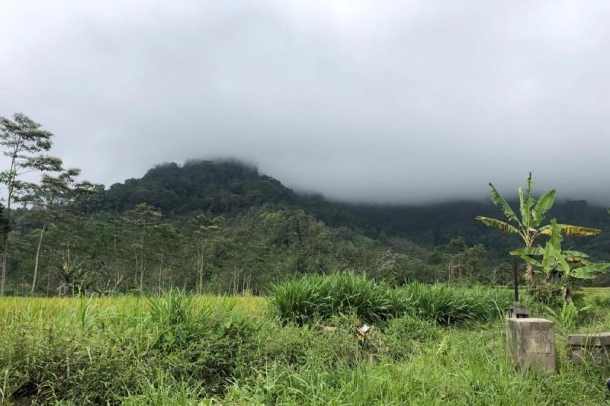 Puncak Gunung Semeru masih tertutup mendung pekat