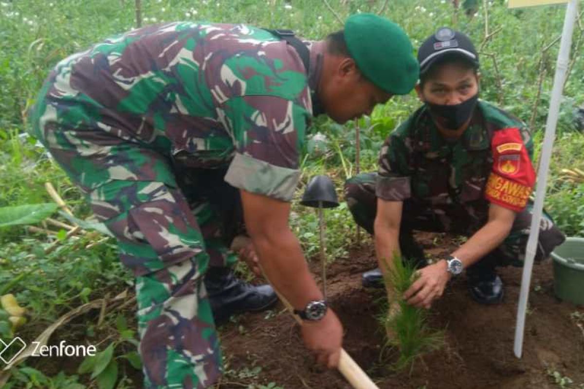 Perhutani tanam pohon bersama masyarakat di Wonosobo