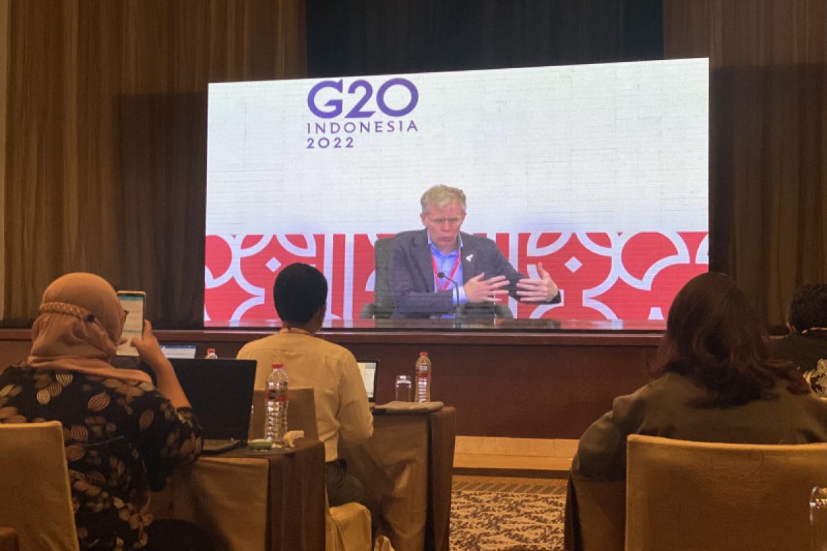 G20: WHO asks Indonesia to end financial gap in pandemic handling