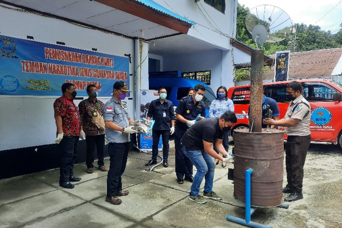BNNP Papua musnahkan 3.543 gram ganja kering PNG