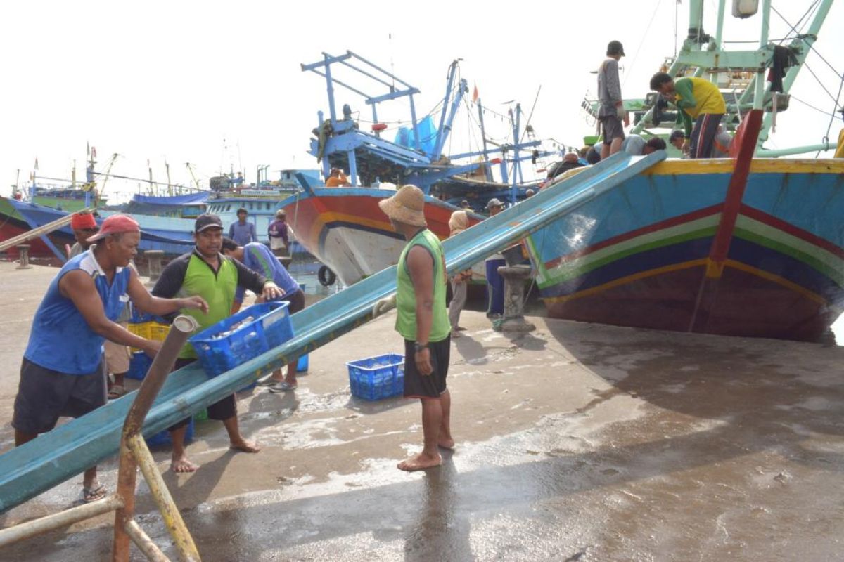 Abdullah Tuasikal: Sinergikan Ambon New Port dengan lumbung ikan nasional