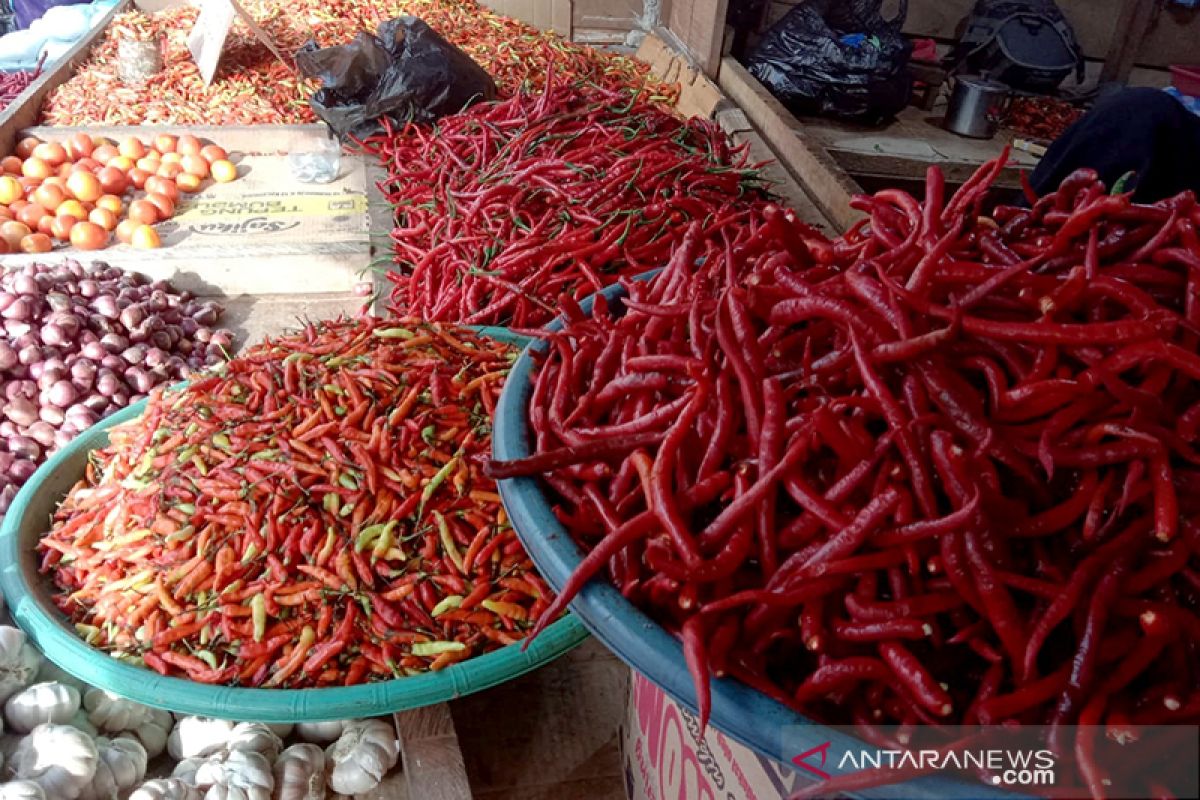 Harga cabai merah di Ambon bergerak naik akibat dampak cuaca ekstrem, antisipasi manipulasi harga