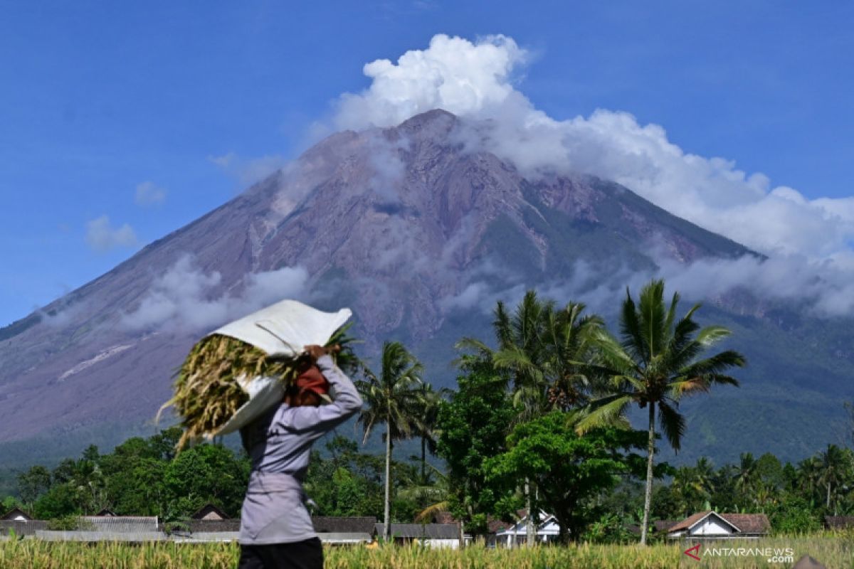 Gunung Semeru alami gempa letusan dan guguran pada Minggu