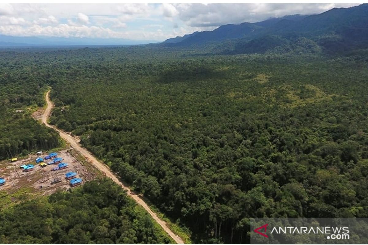 Papua Barat Masuk Dalam Lima Kemenangan Dunia Bidang Lingkungan