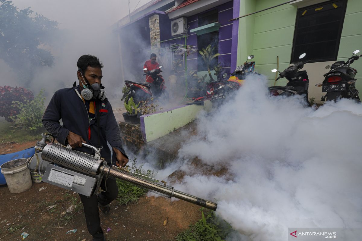 Ada 860 kasus DBD pada Januari-Mei 2024 di Riau, satu tewas