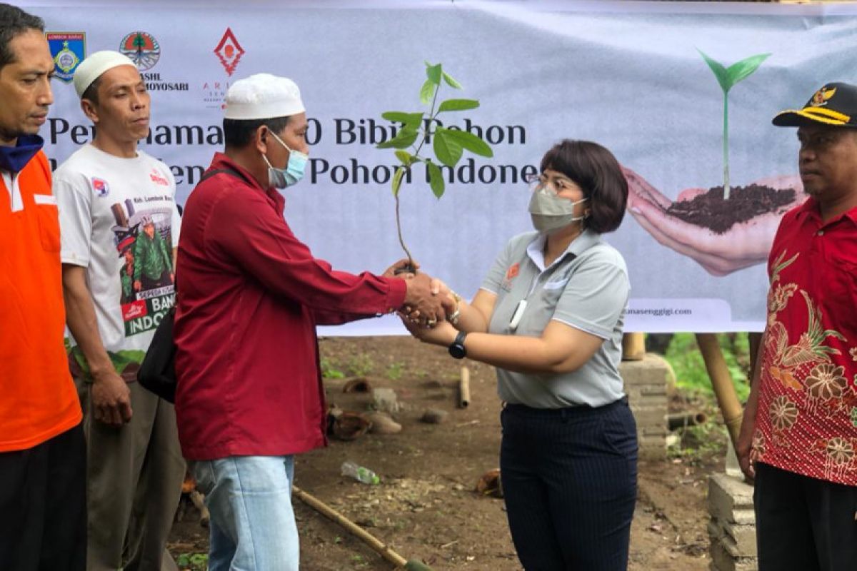 Tanam 500 bibit pohon, Aruna Senggigi peringati Hari Menanam Pohon se-Dunia