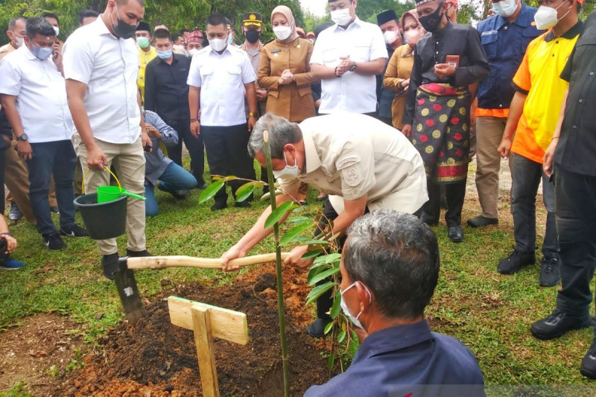 Gubri serahkan 10.300 pohon untuk masyarakat Inhu