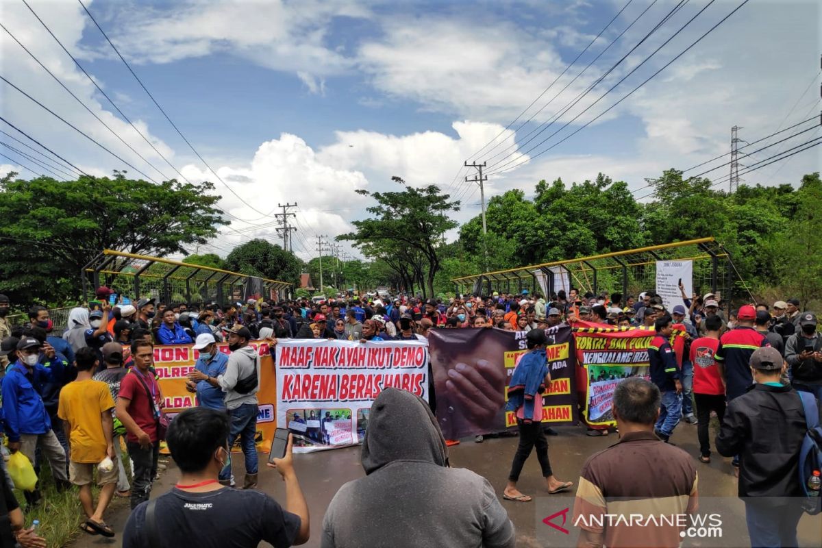 Ribuan pekerja jasa angkutan batu bara sempat tutup jalan nasional di Kalsel