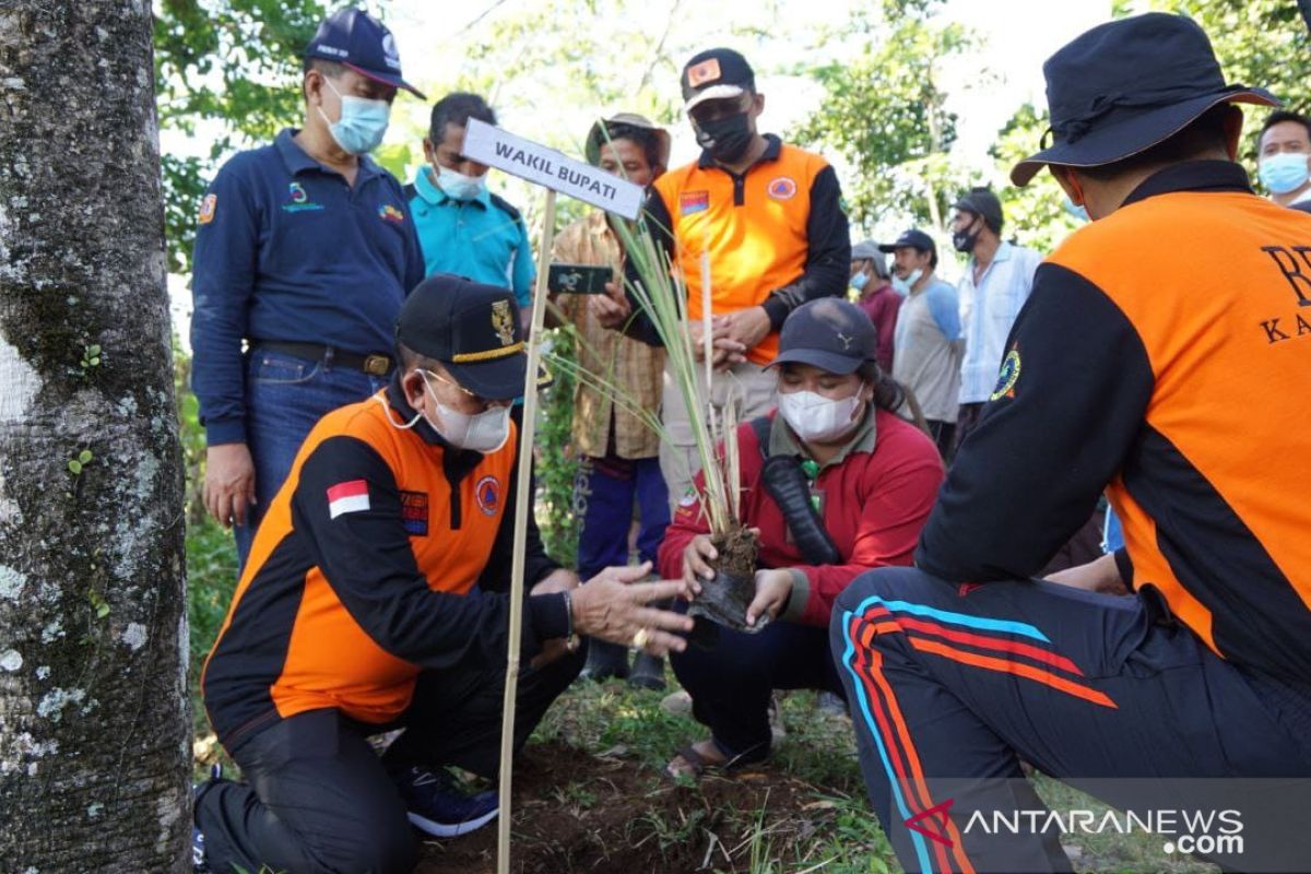 Wabup Karangasem pimpin penanaman 3.000 bibit pohon di Desa Bunutan