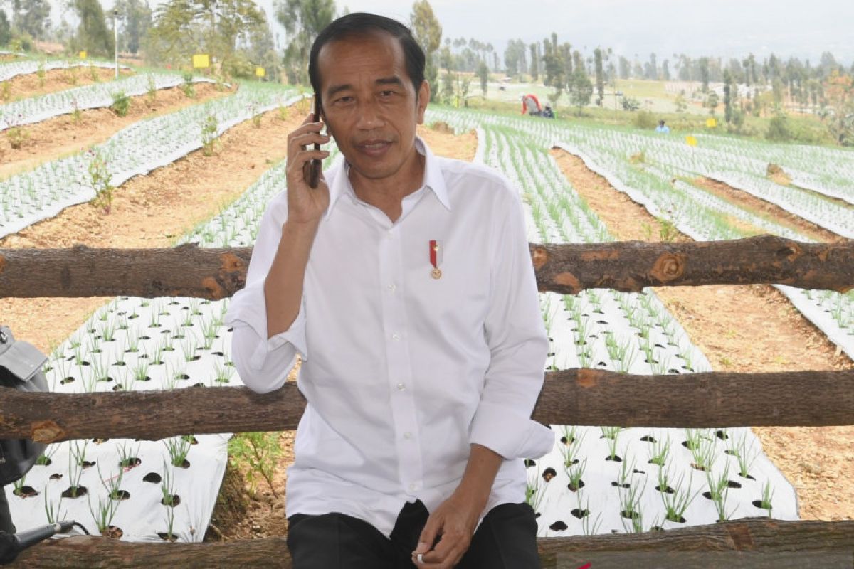 Presiden Jokowi dengarkan keluhan petani soal impor bawang putih saat panen