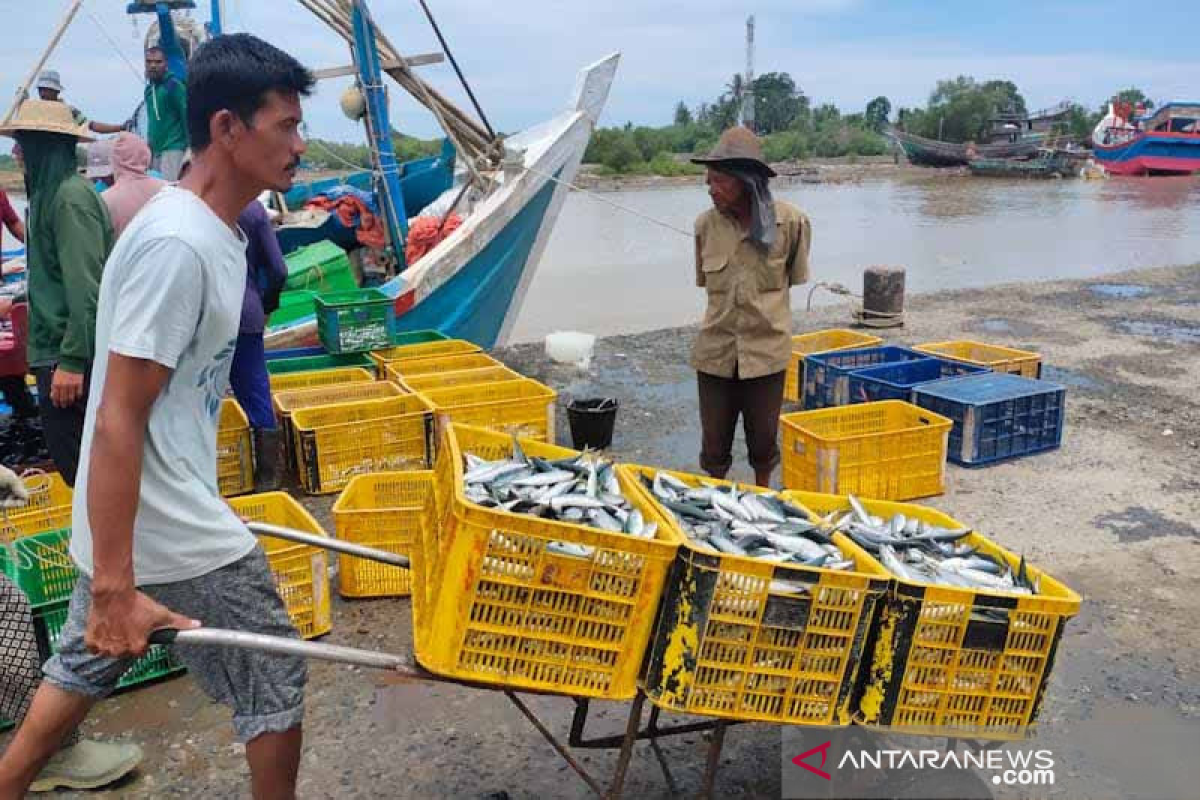 Ratusan pelaku usaha perikanan di Kota Banda Aceh sudah miliki kartu Kusuka
